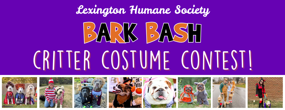 2026 Bark Bash *Pet Costume Contest*
